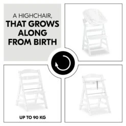 Hauck Alpha+B Hochstuhl 20 Hauck Alpha+B Hochstuhl -Babyprodukte Geschäft 4007923661161.pt04.alpha white